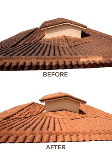 east Orlando roof soft washing